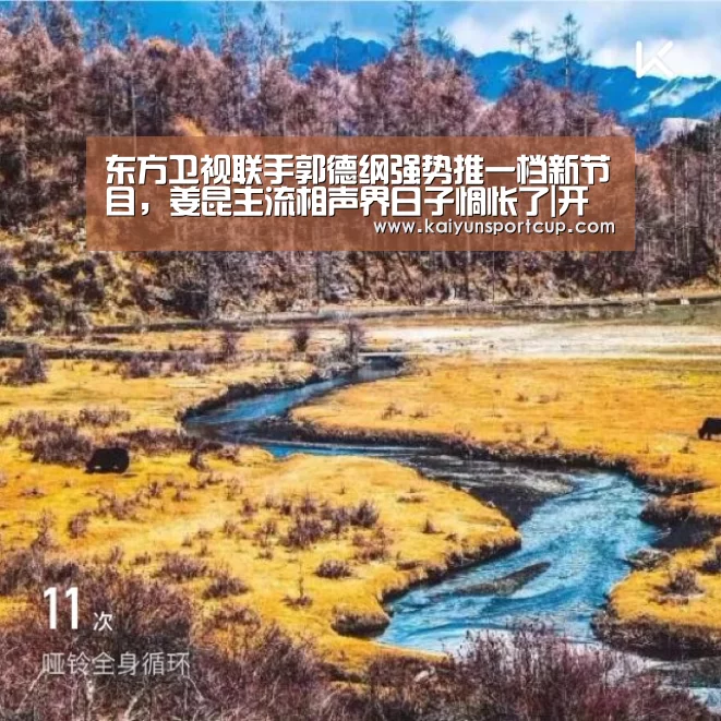 开云赛事