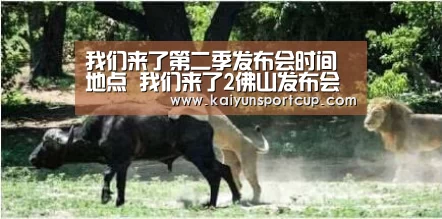 开云官网