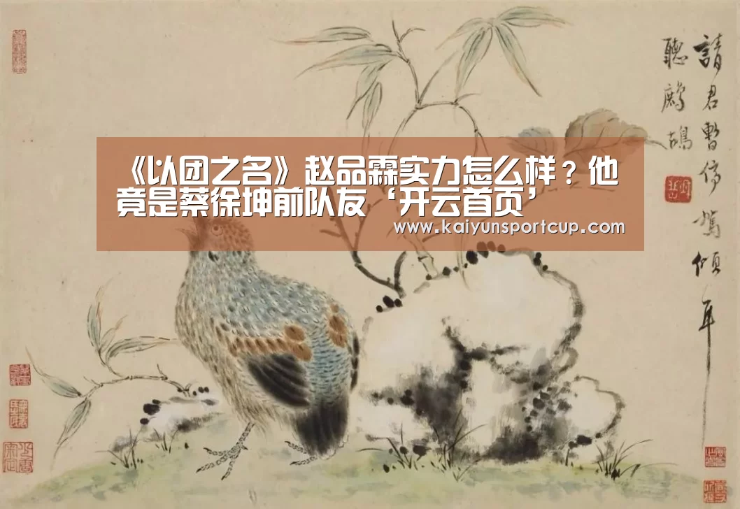 《以团之名》赵品霖实力怎么样?他竟是蔡徐坤前队友‘开云首页’(图3) 开云首页