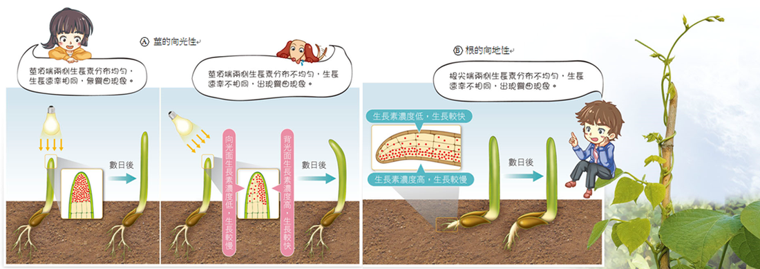 
热门综艺《王牌对王牌6》官宣1月29日开播 已录制四期嘉宾名单看点十足‘开云官